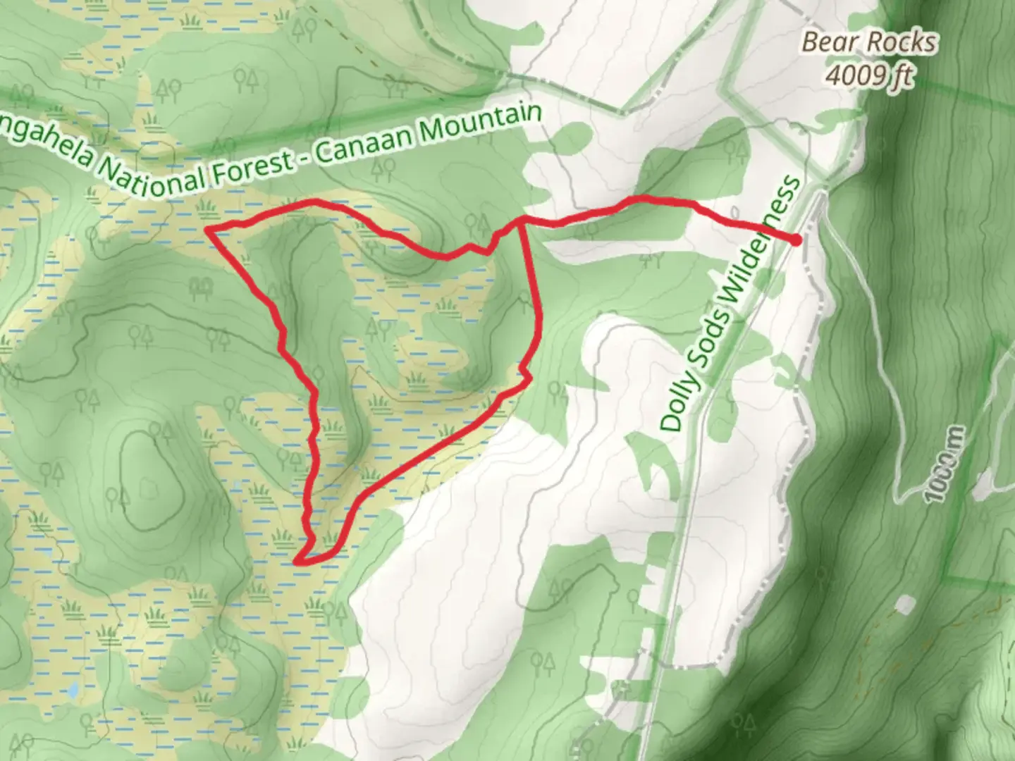 An image depicting the trail Bear Rocks Trail, Raven Ridge and Trail Dobbin Grade Loop Trail and its surrounding area.