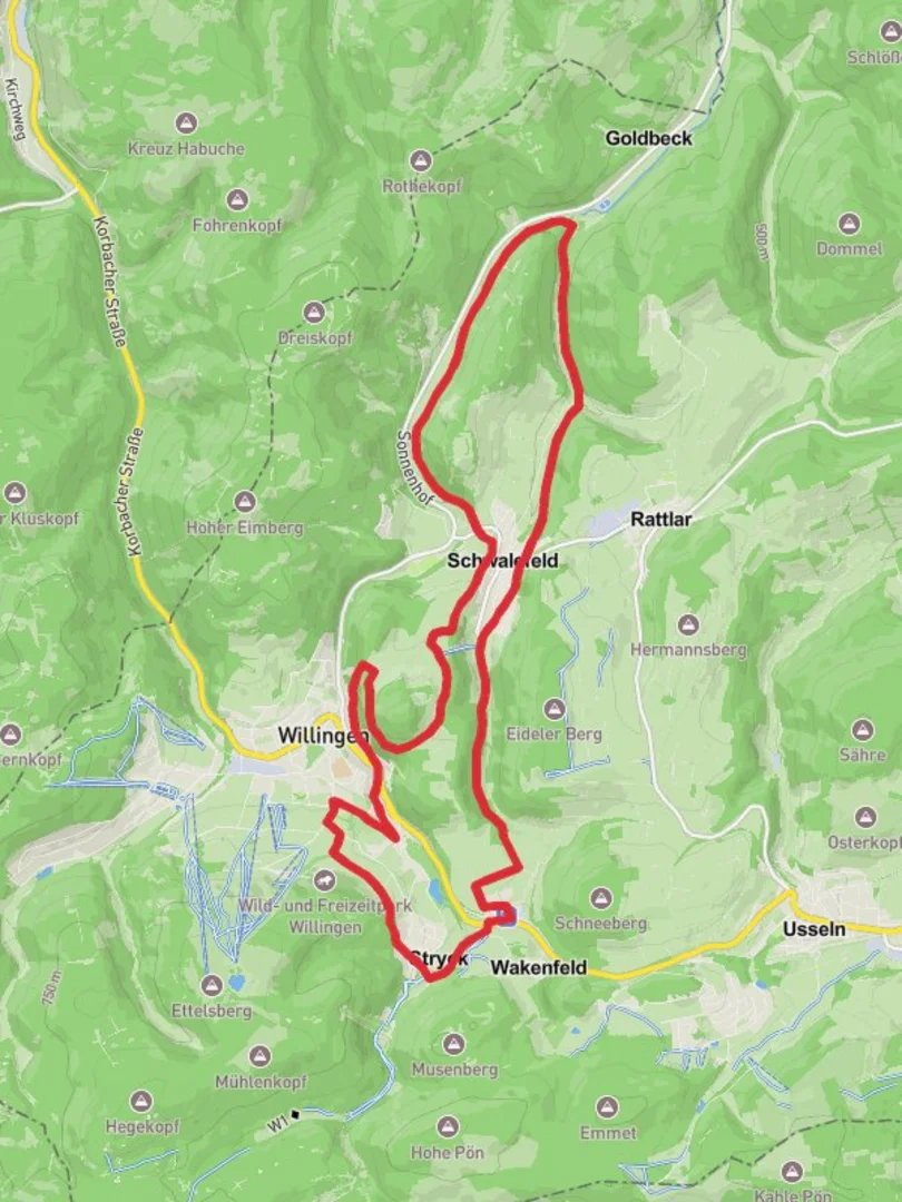 An image depicting the trail Willingen and Schwalefeld Loop and its surrounding area.