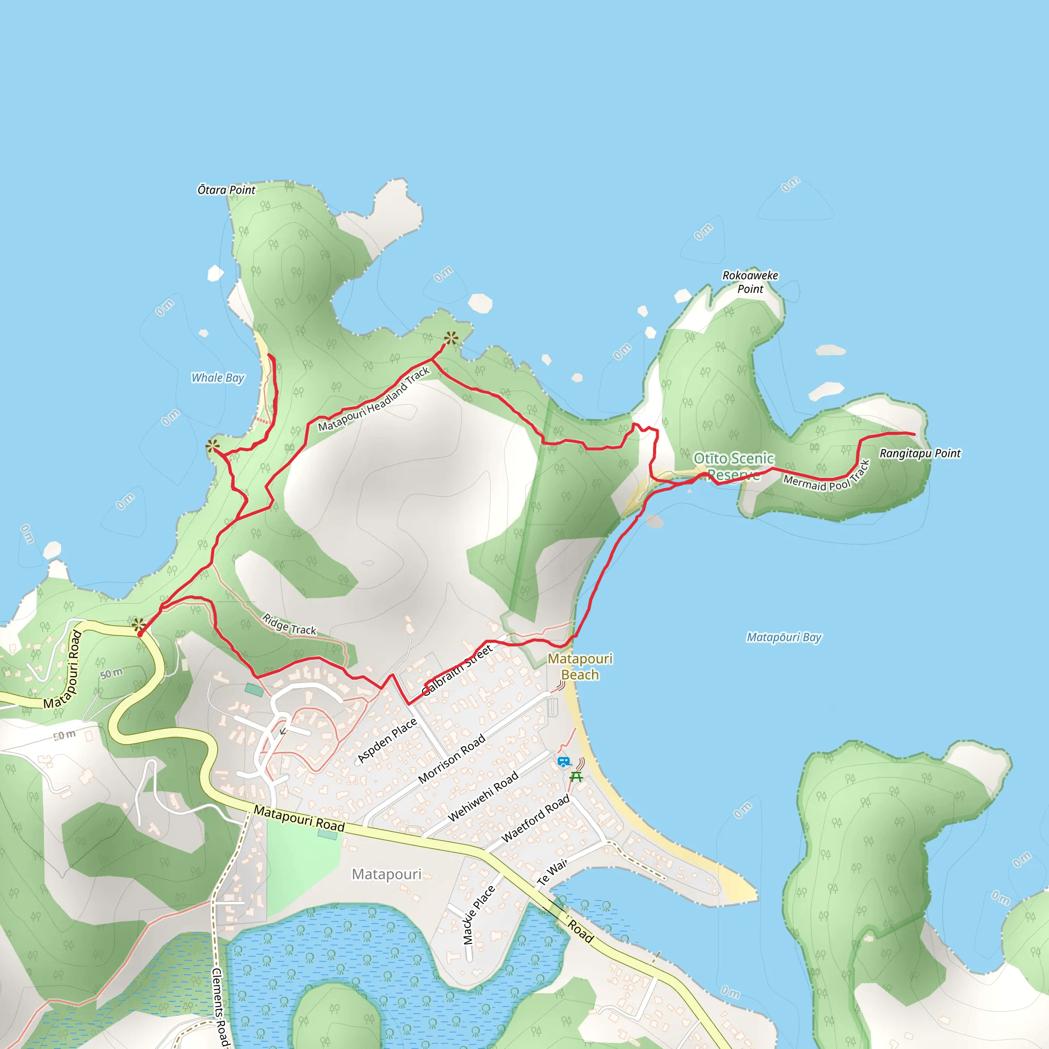 Whale Bay Loop Track mobile static map