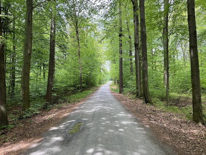 Zeigefinger and Thummelgrotte Loop