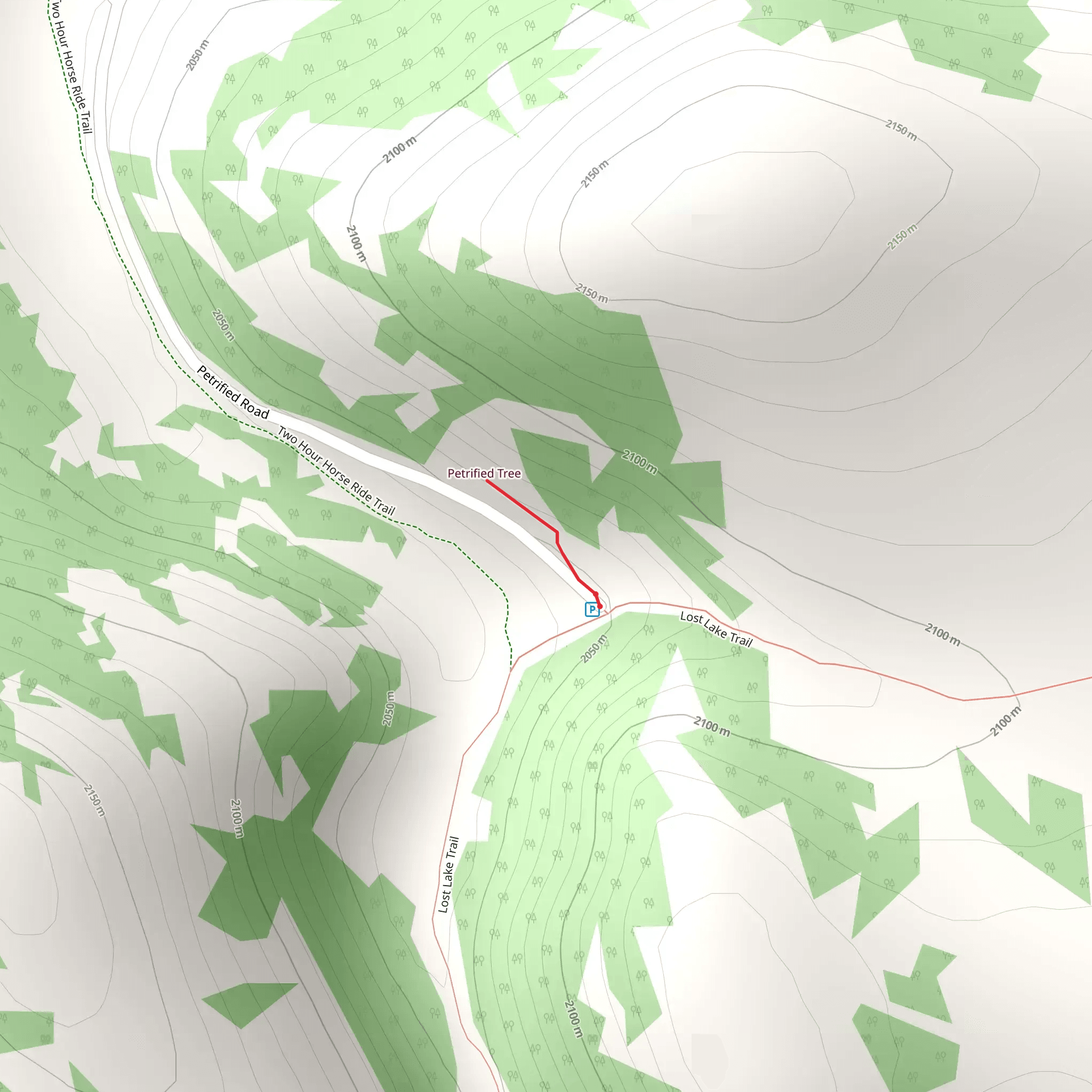 Petrified Tree Walk mobile static map