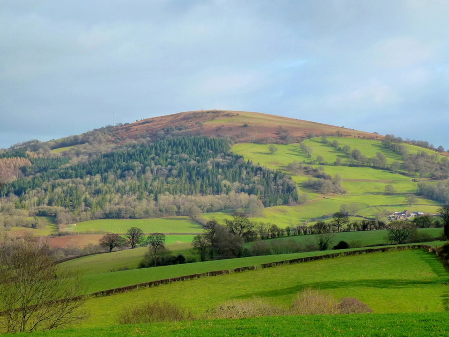 An image depicting the trail Garway Hill and its surrounding area.