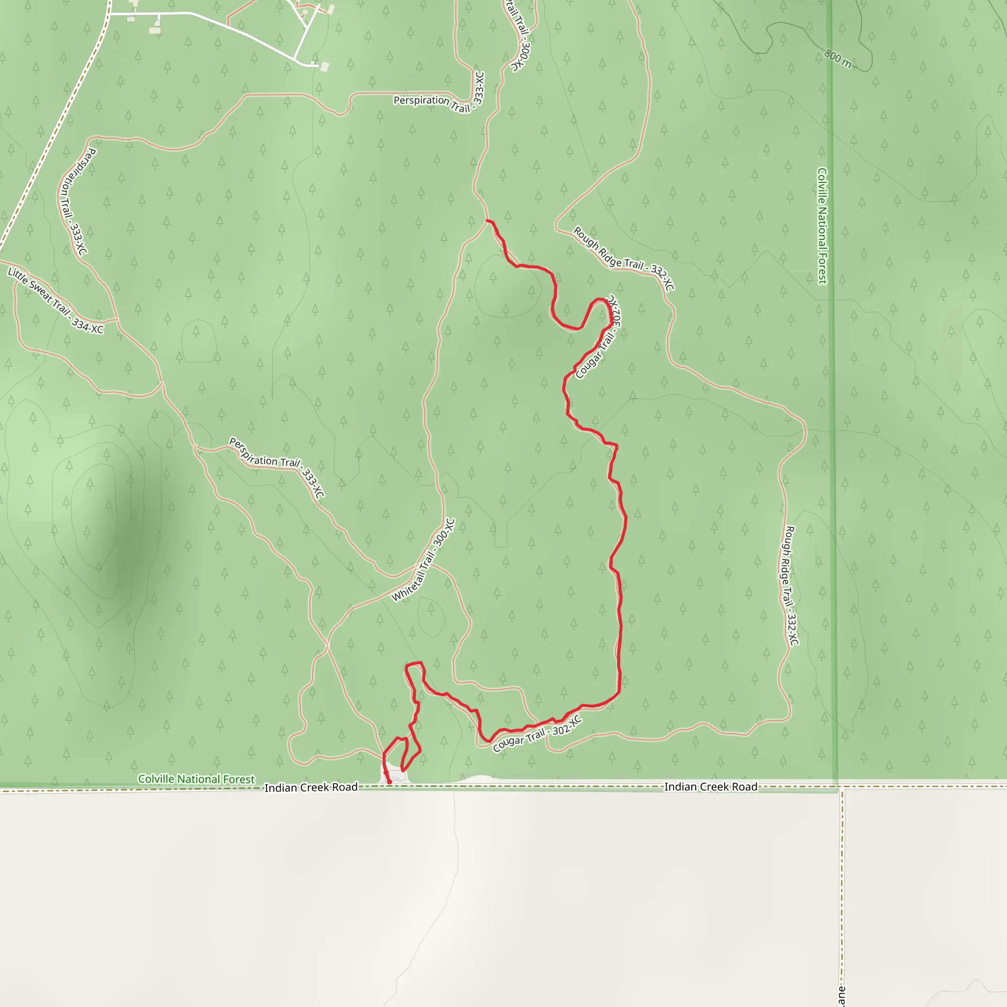 Geophysical - Cougar Trail mobile static map