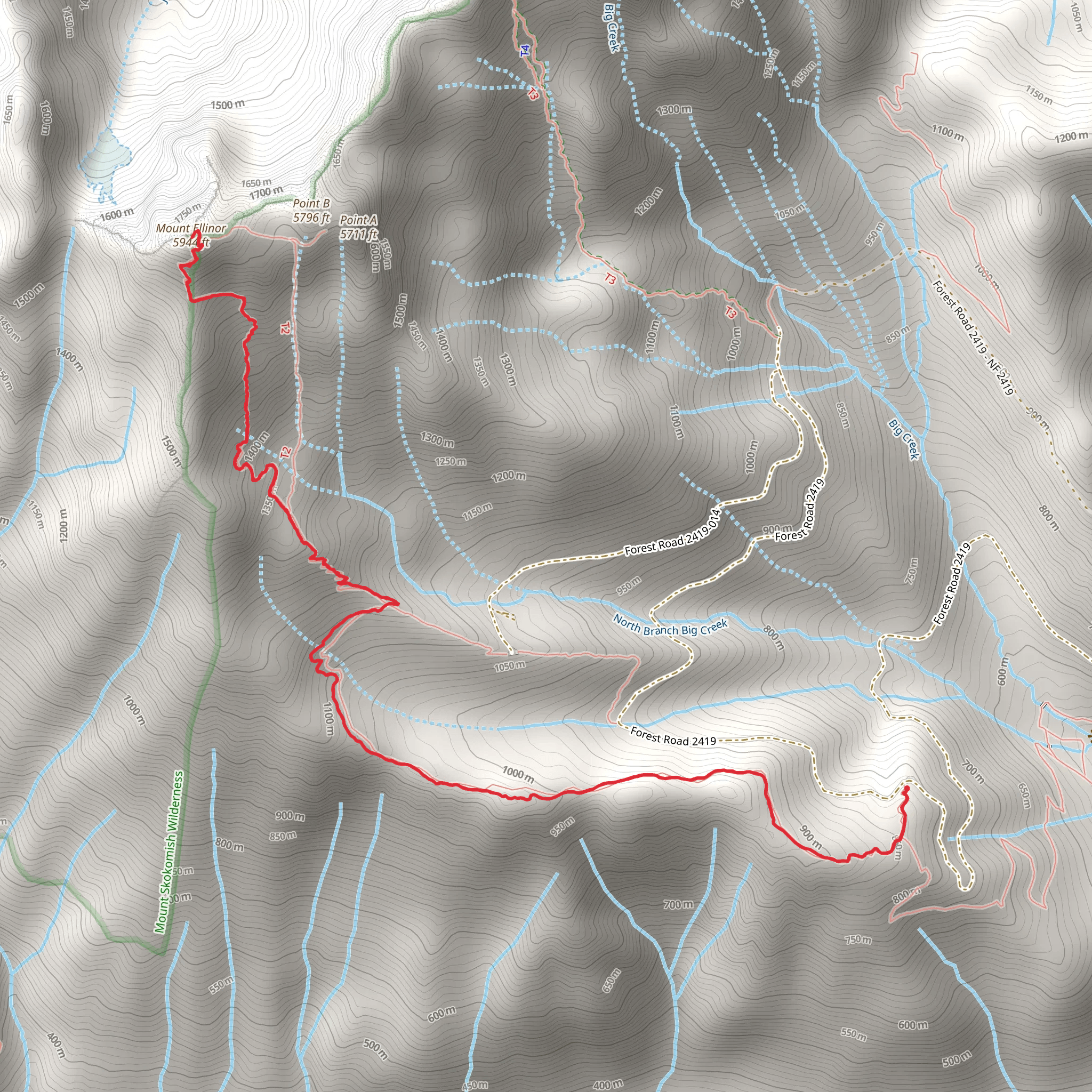 Mt Ellinor Trail mobile static map