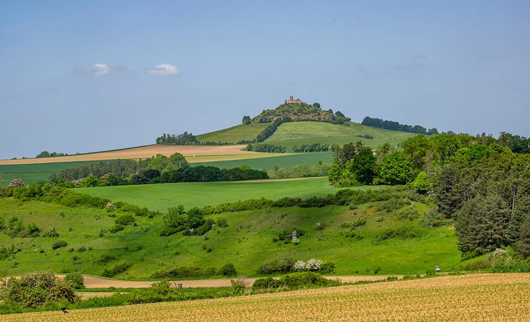 An image depicting the trail Auf der Warte Loop via Rundweg Wolfsberg and its surrounding area.