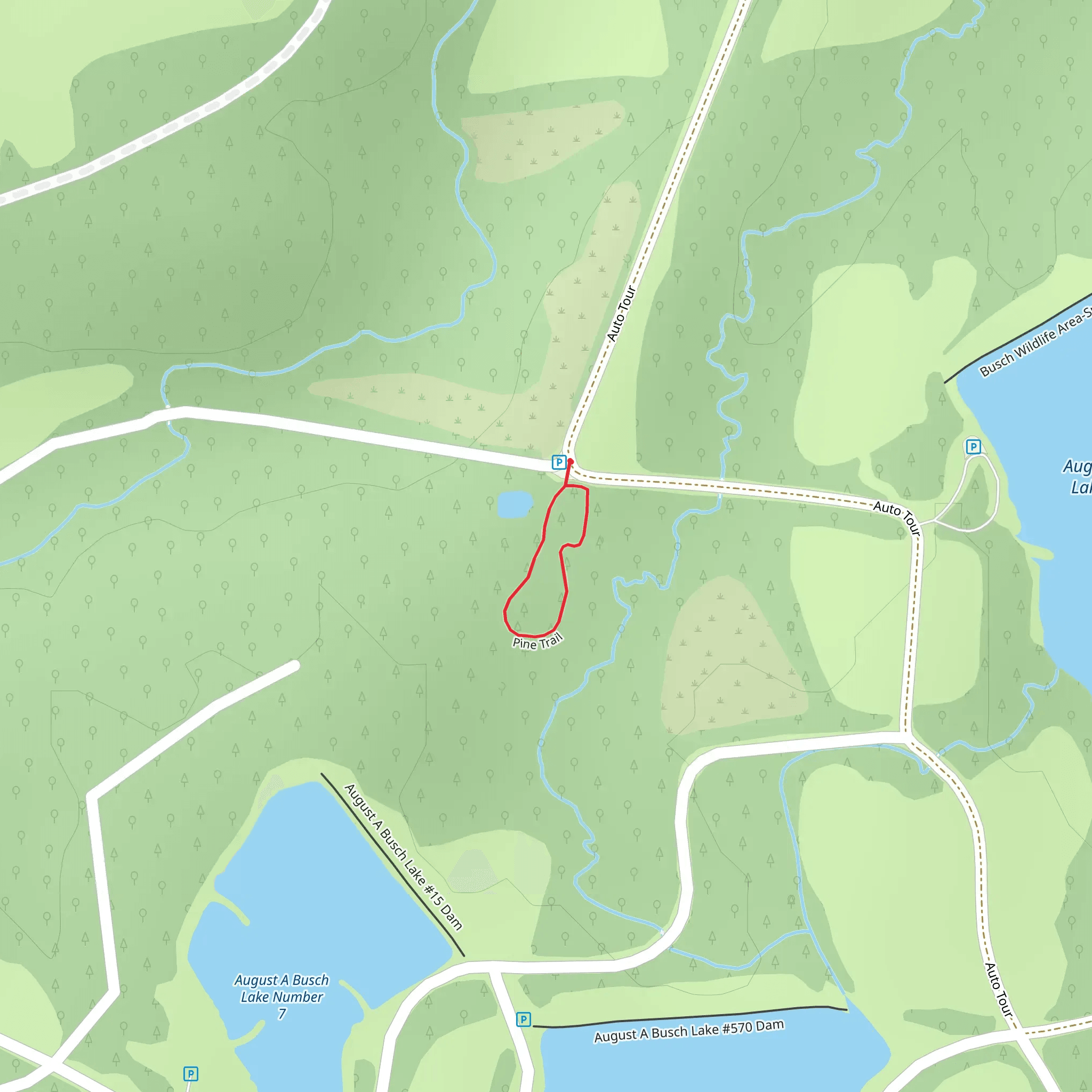 Pine Loop Trail mobile static map