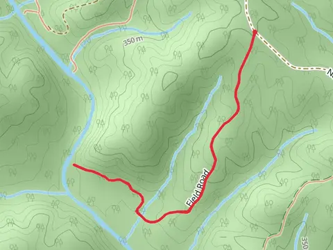 Amicalola Creek Camp Trail