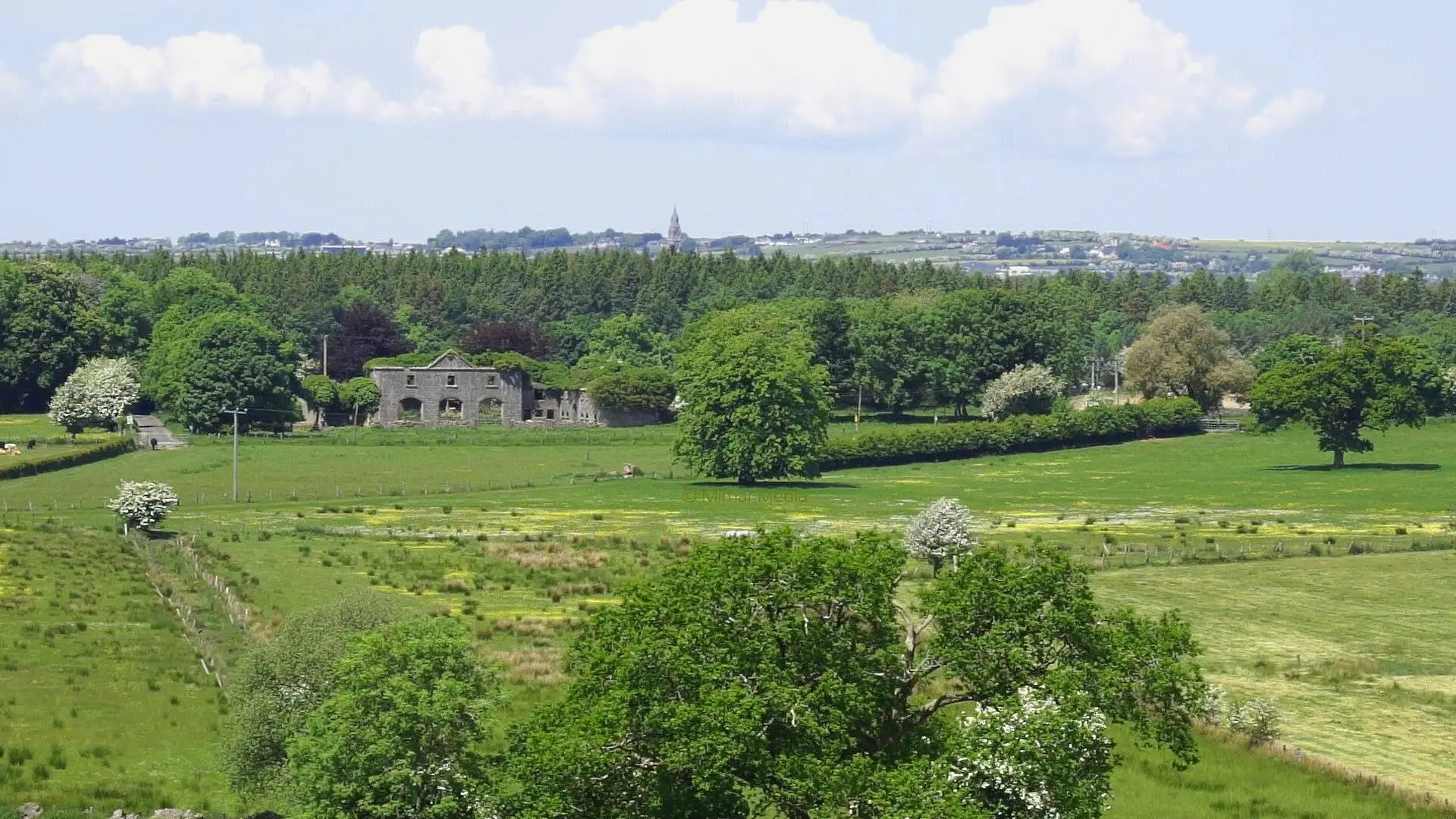 An image depicting the trail Mote Park - Heritage Trail and its surrounding area.