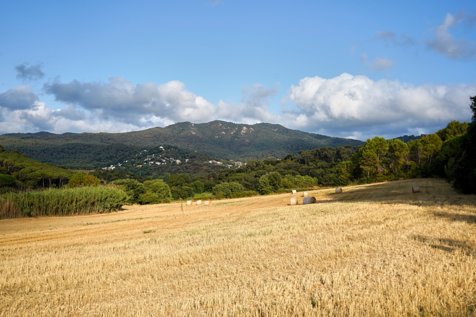 An image depicting the trail The Rock of the Valleys - Sant Bertomeu SL C 137 and its surrounding area.