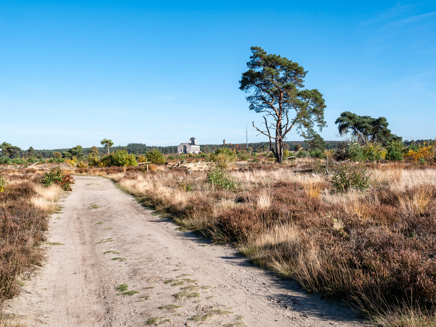 An image depicting the trail Hoog Buurlosche, Braamberg and Radio Weg Loop and its surrounding area.