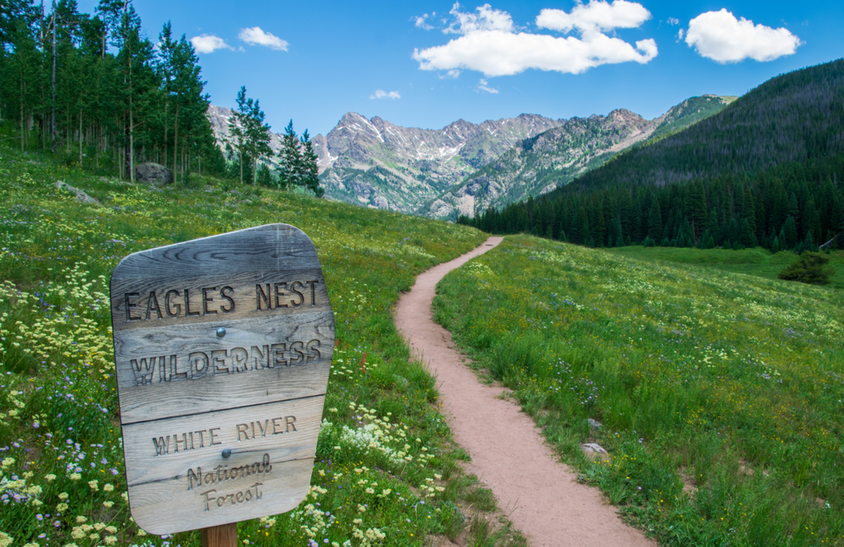 An image depicting the trail South Rim Black Creek Trail via Brush Creek Trail and its surrounding area.