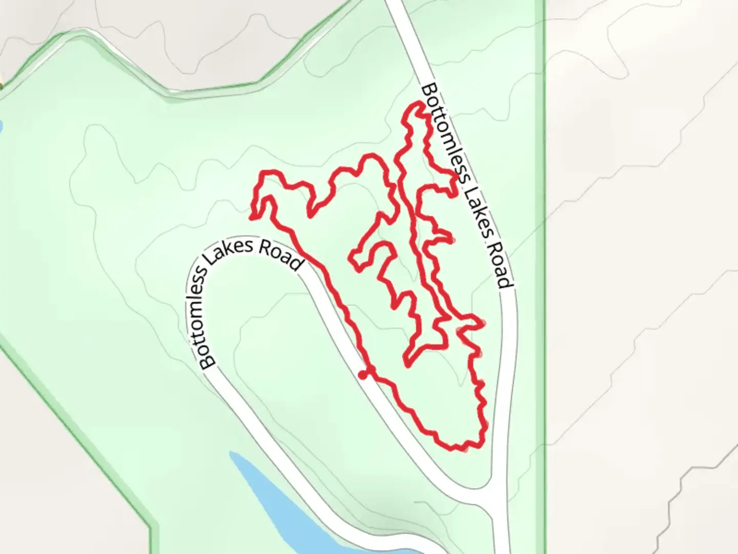 An image depicting the trail Skidmarks Loop Trail and its surrounding area.