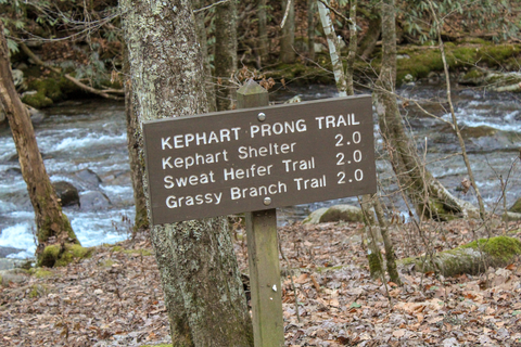An image depicting the trail Grassy Branch Trail and its surrounding area.