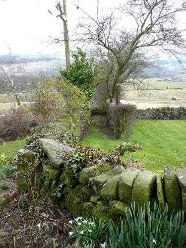 Scar, Stubbing and Zachariah Wood Loop