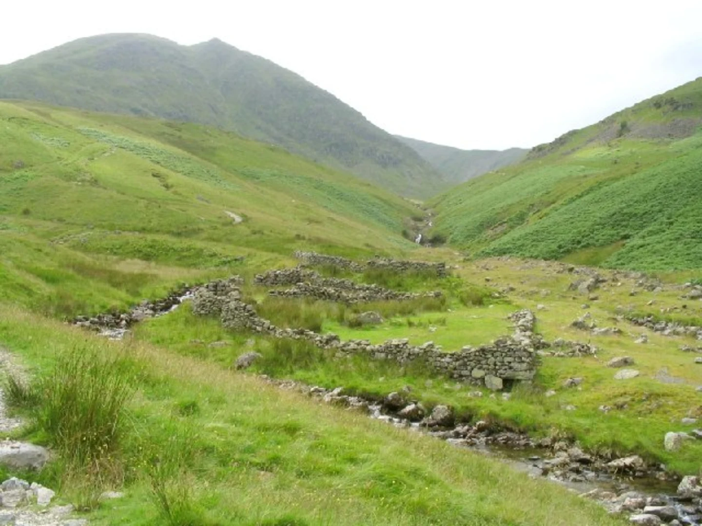 An image depicting the trail Gillside Plantation Loop and its surrounding area.