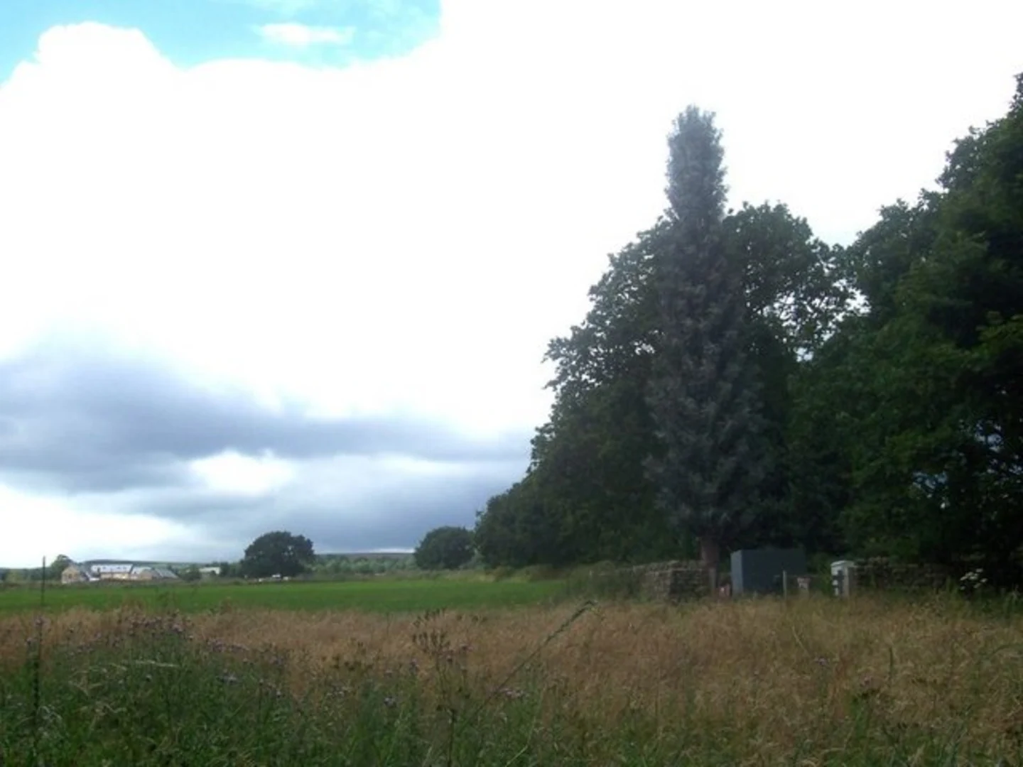 An image depicting the trail Ecclesall Woods and Whirlow Brook via Porter Brook Trail and its surrounding area.