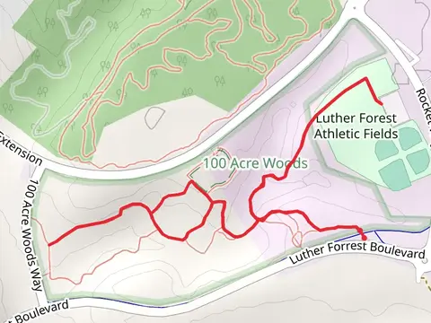Luther Forest - 100 Acre Woods