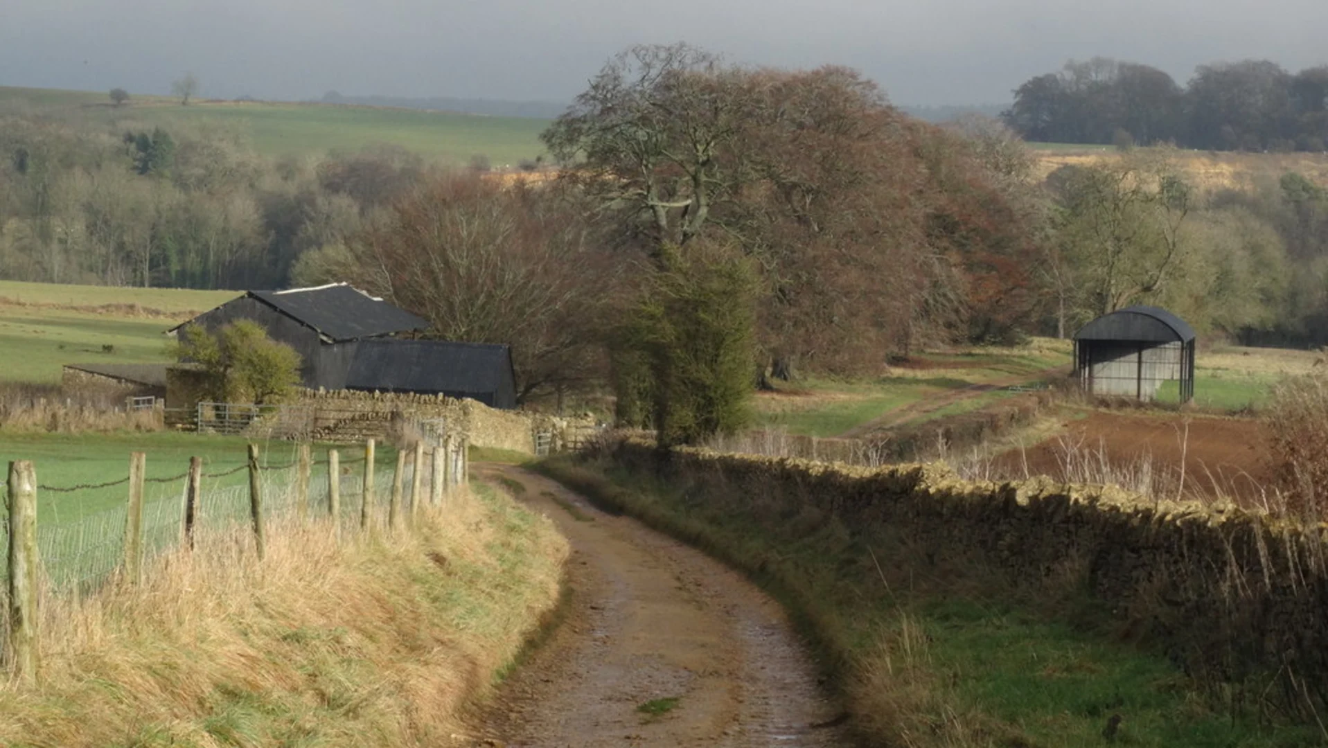 An image depicting the trail Carey's Covert and Taddington Loop and its surrounding area.