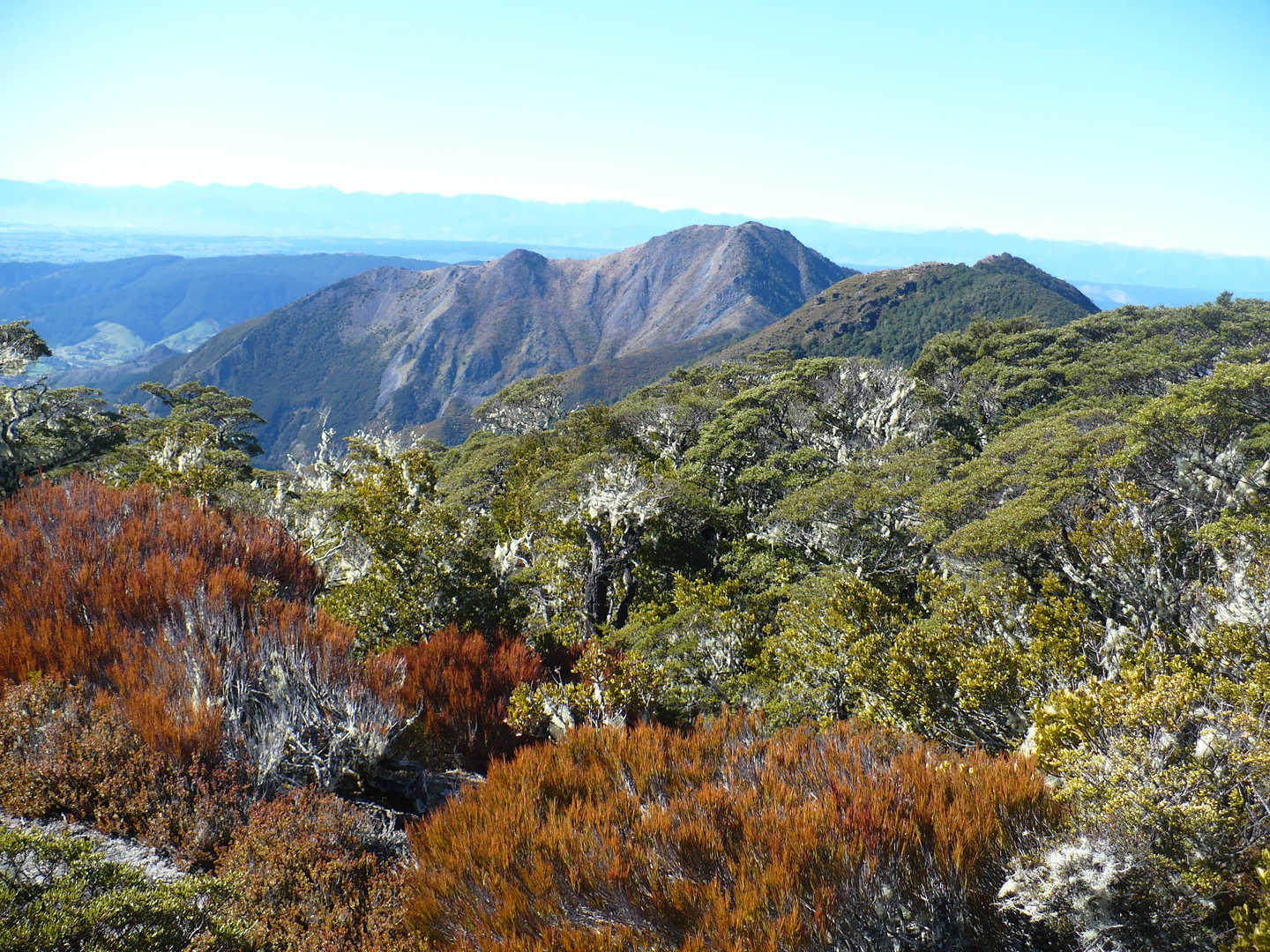 An image depicting the trail Lodestone Track and its surrounding area.