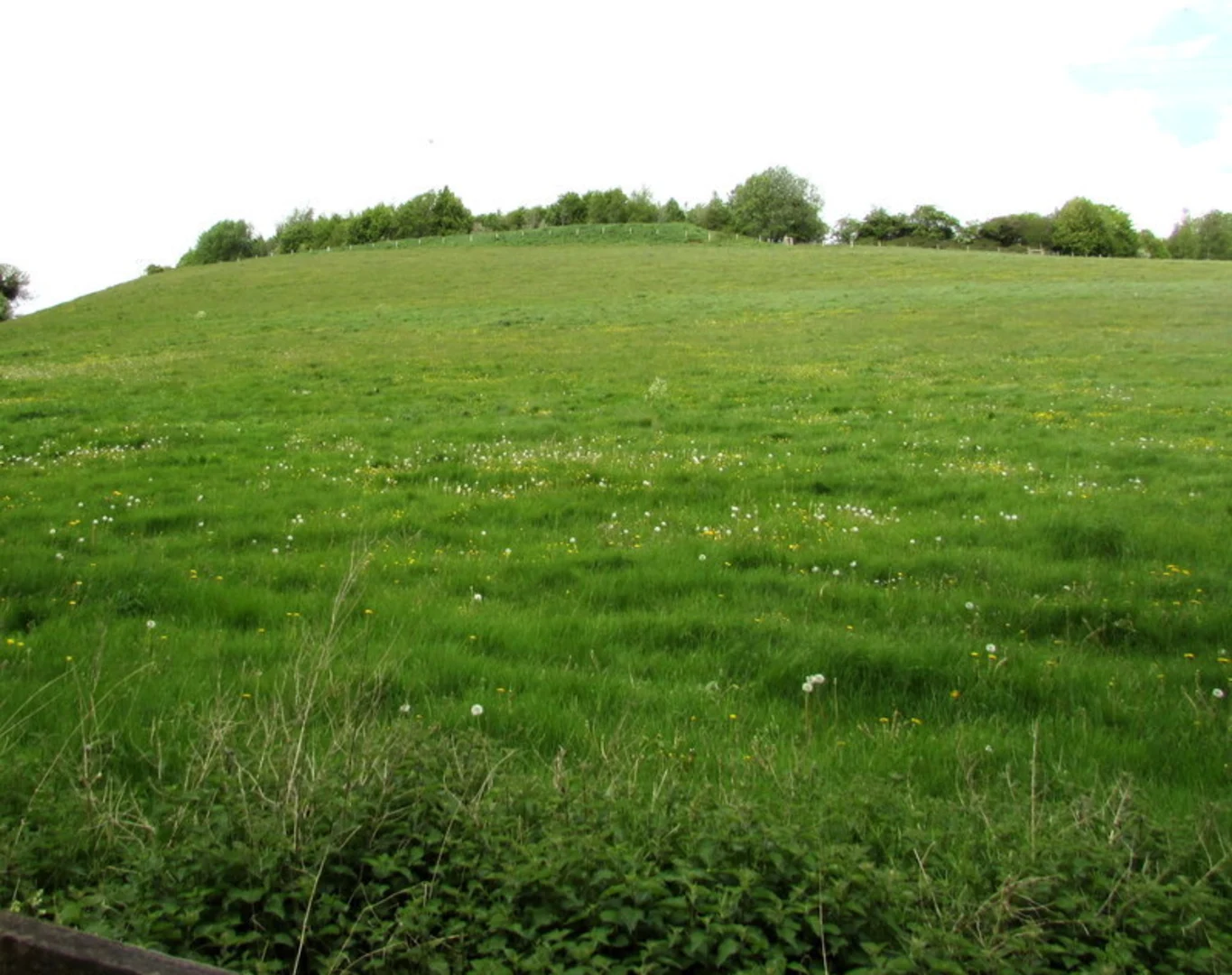 An image depicting the trail The Two Church Circular and its surrounding area.