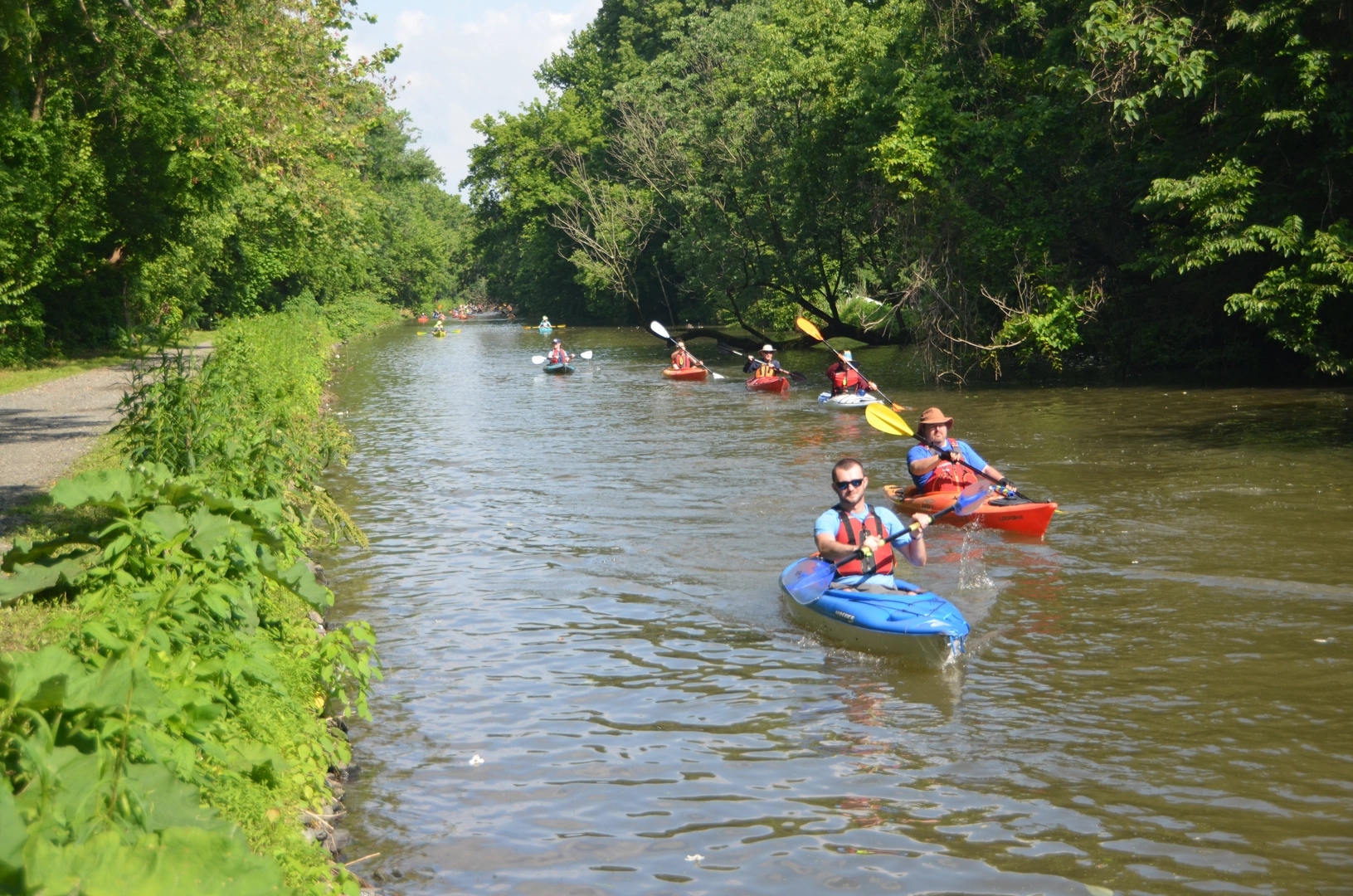 An image depicting the trail Schuylkill River from Port Providence Road and its surrounding area.