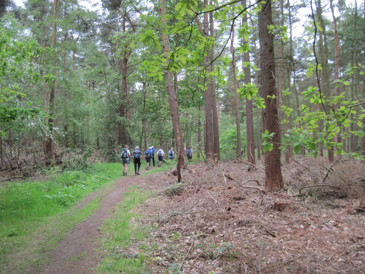 Ox Calder Way and Hagg Wood