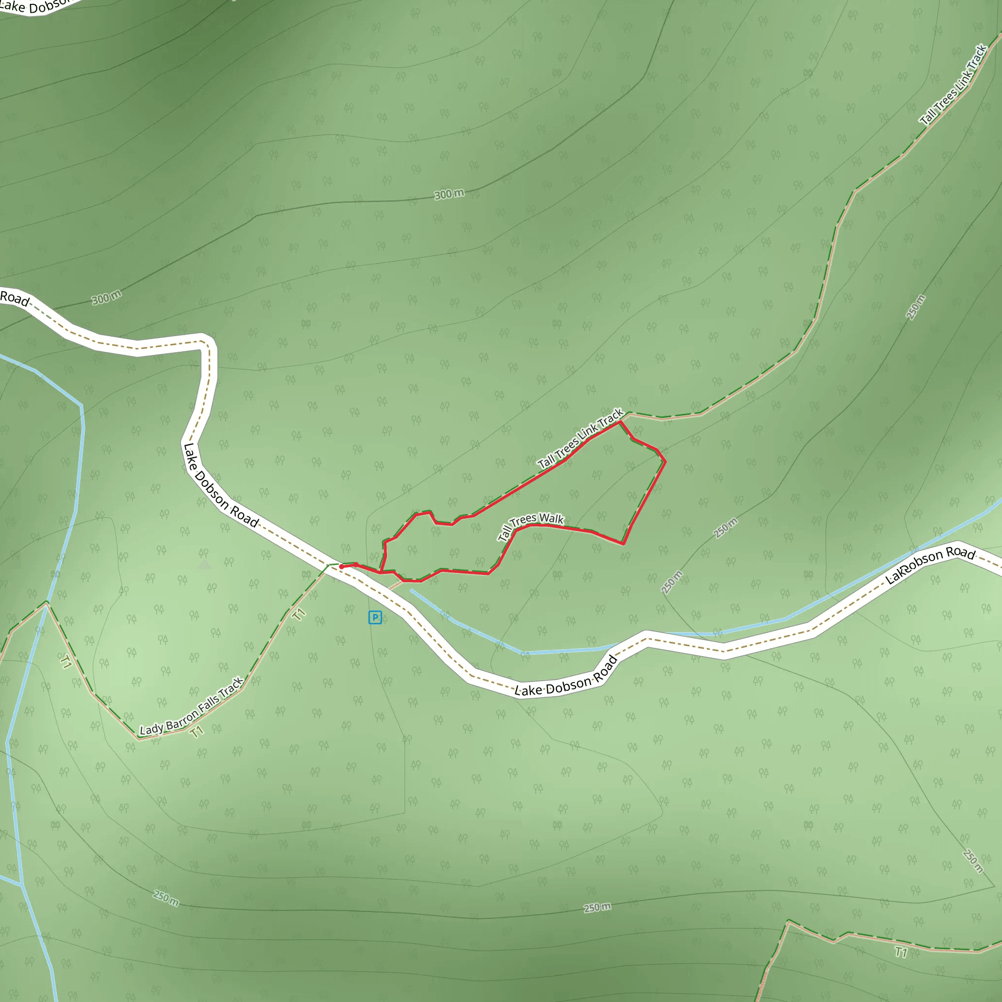 Tall Trees Trail mobile static map