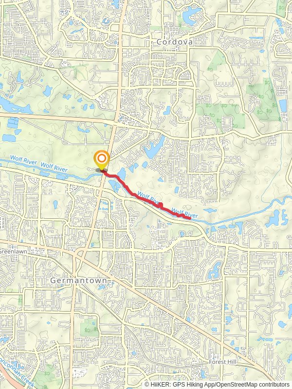 Wolf River via Gray's Creek Trail