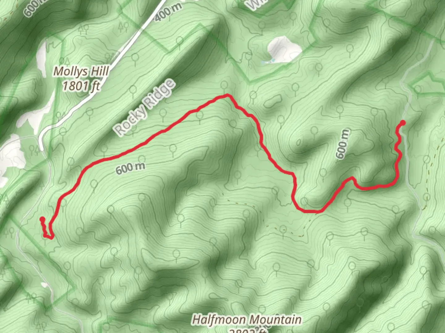 An image depicting the trail Bucktail Trail and its surrounding area.