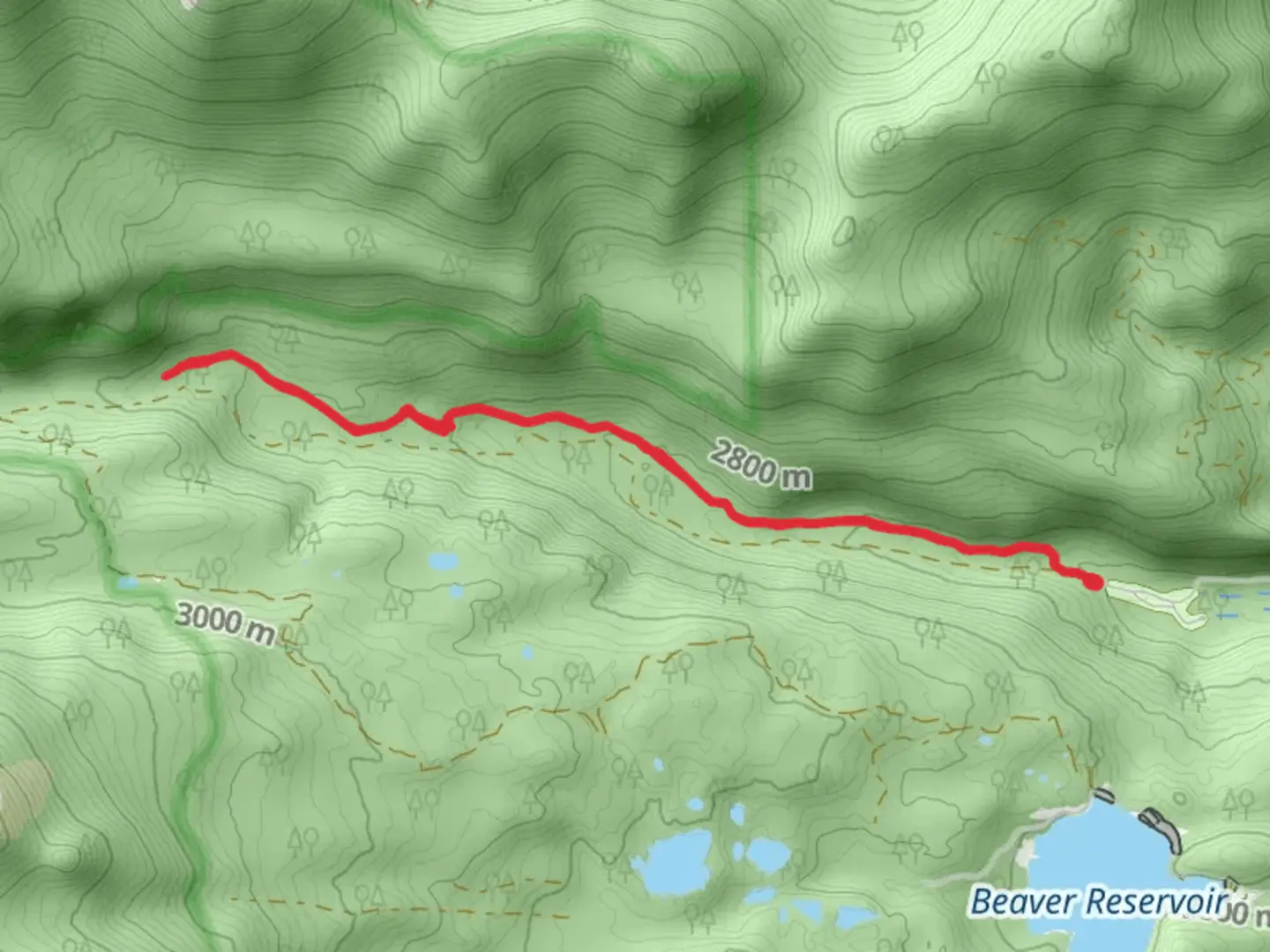 An image depicting the trail Buchannan Pass Trail and its surrounding area.