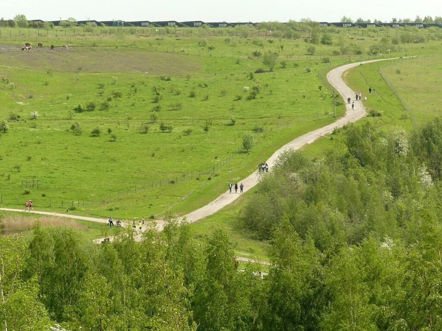 An image depicting the trail Gedling Country Park Loop and its surrounding area.