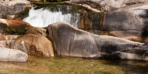 An image depicting the trail Yellow Point and Cleopatras Pool Trail and its surrounding area.