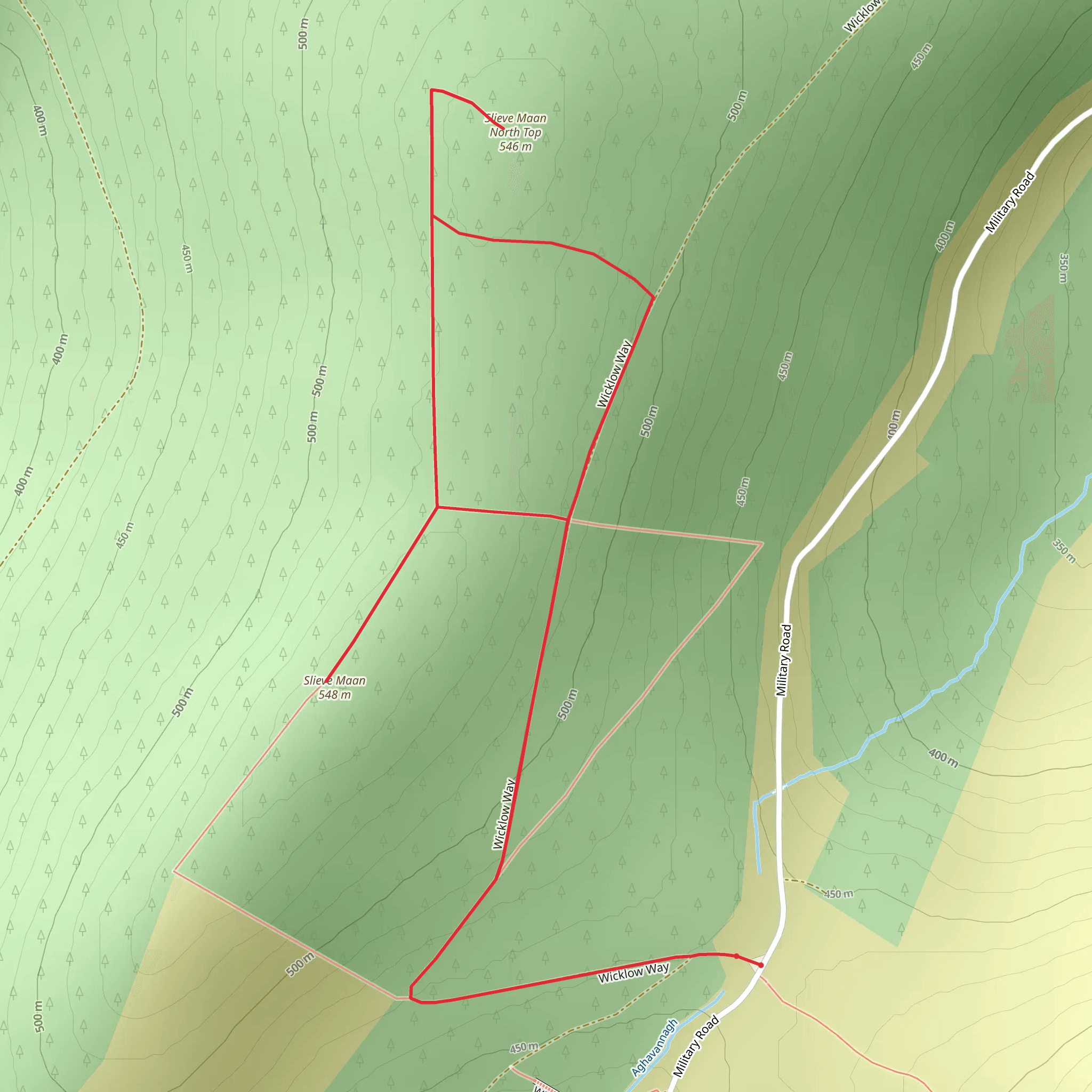 Slieve Maan Loop via Wicklow Way mobile static map