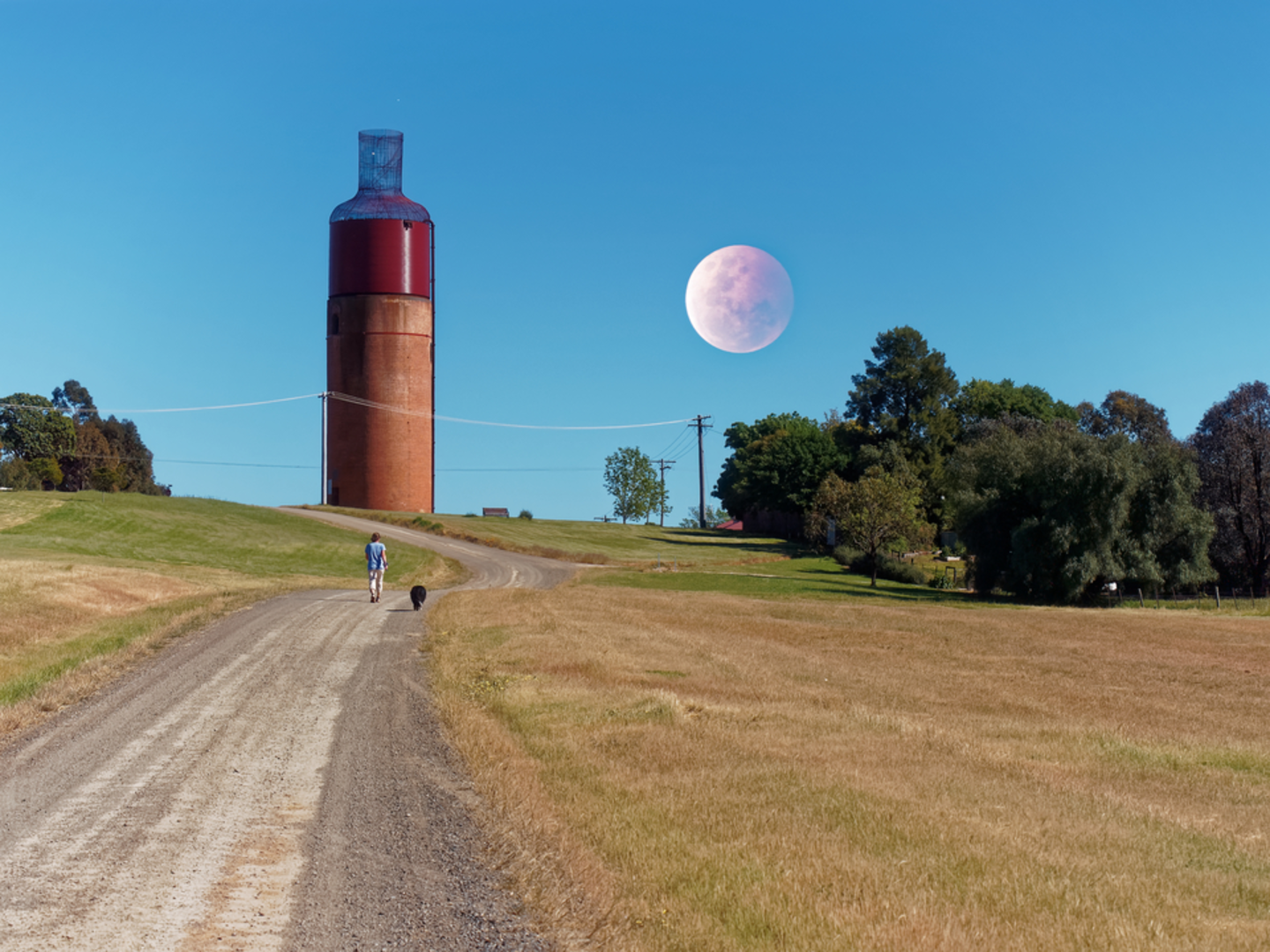 An image depicting the trail Murray to Mountains Rail Trail Walk - Rutherglen to Wahgunyah and its surrounding area.