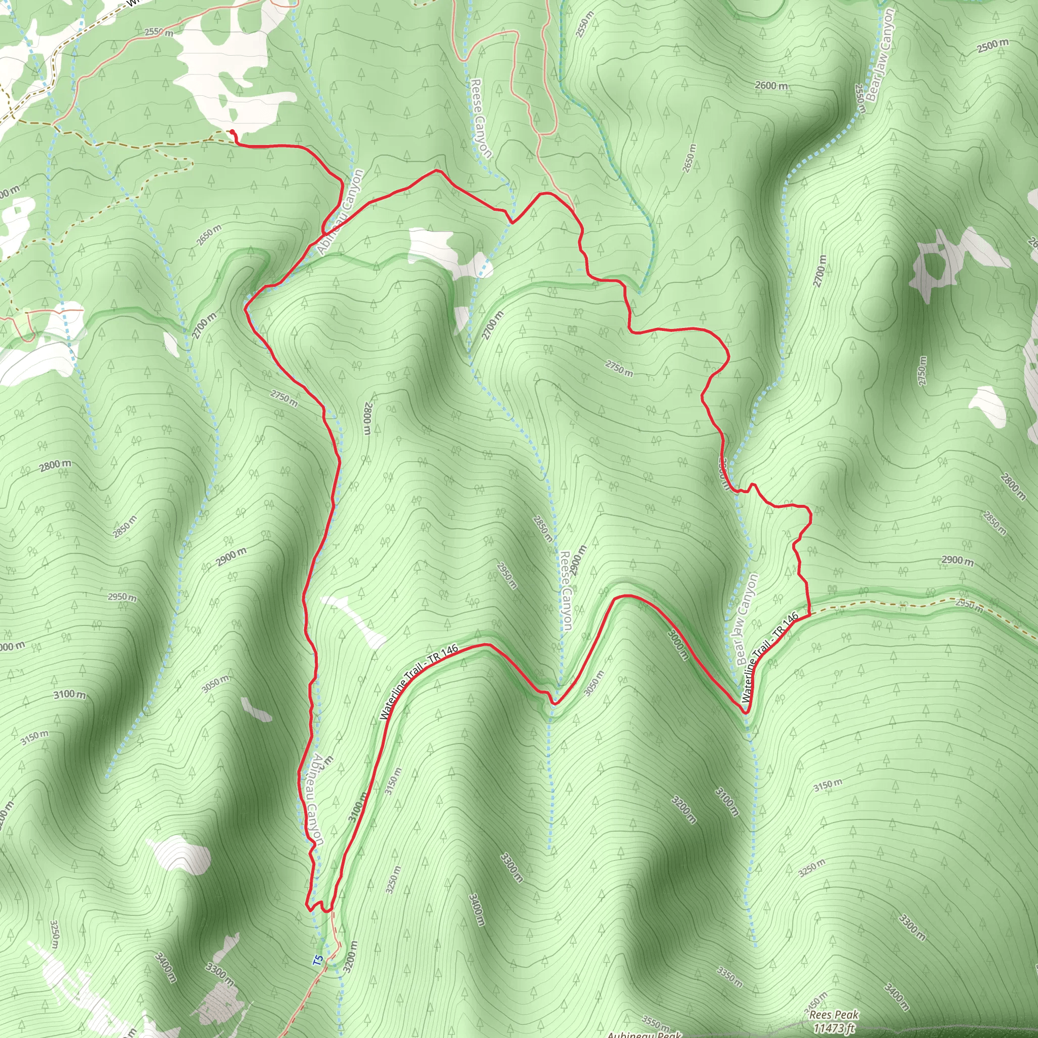 Abineau Trail and Bear Jaw Loop Trail mobile static map