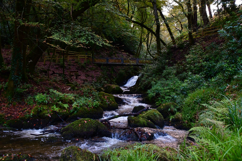 An image depicting the trail Woodstock Waterfall Loop and its surrounding area.