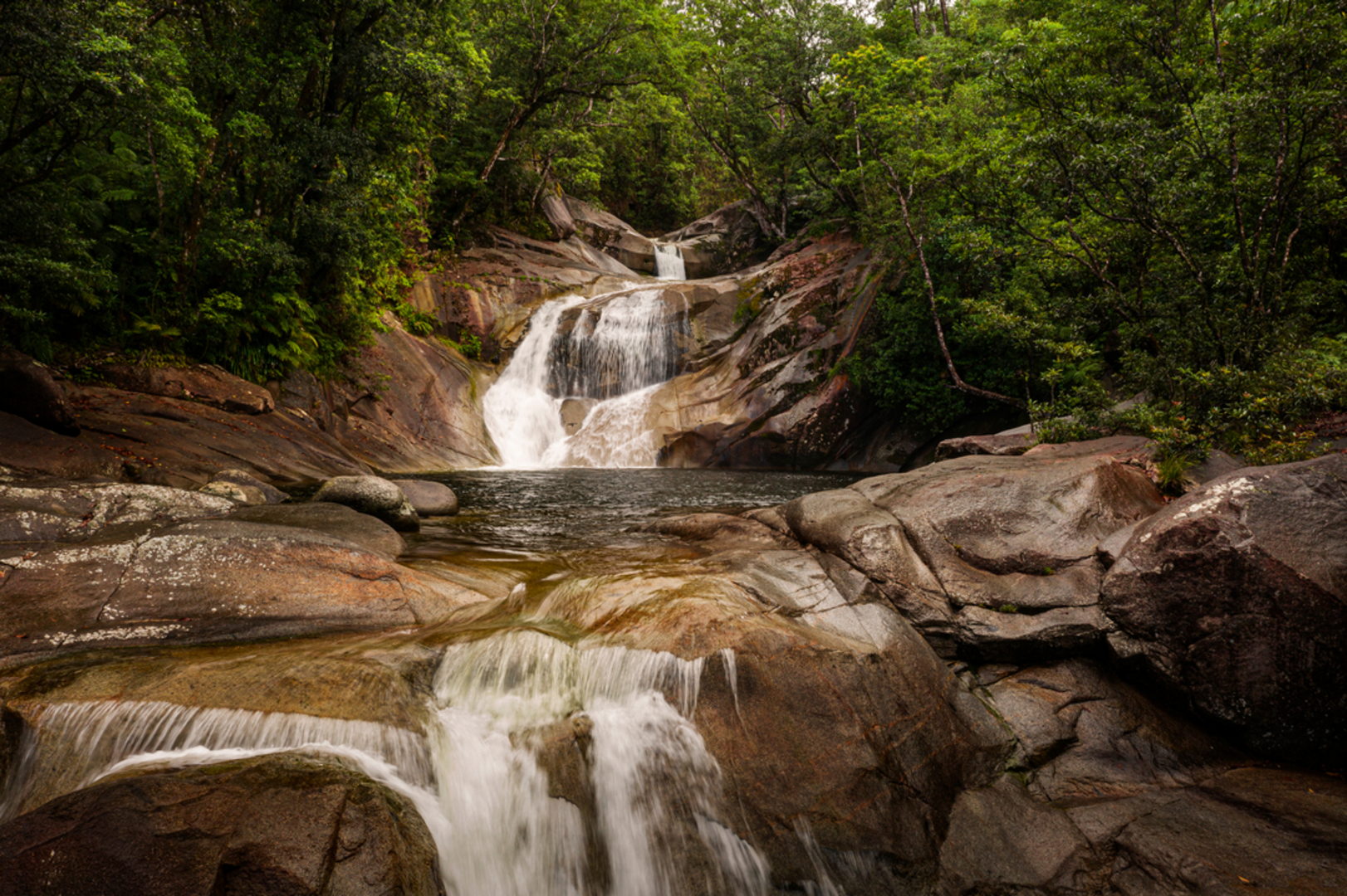 An image depicting the trail Bartle Frere Trail and its surrounding area.