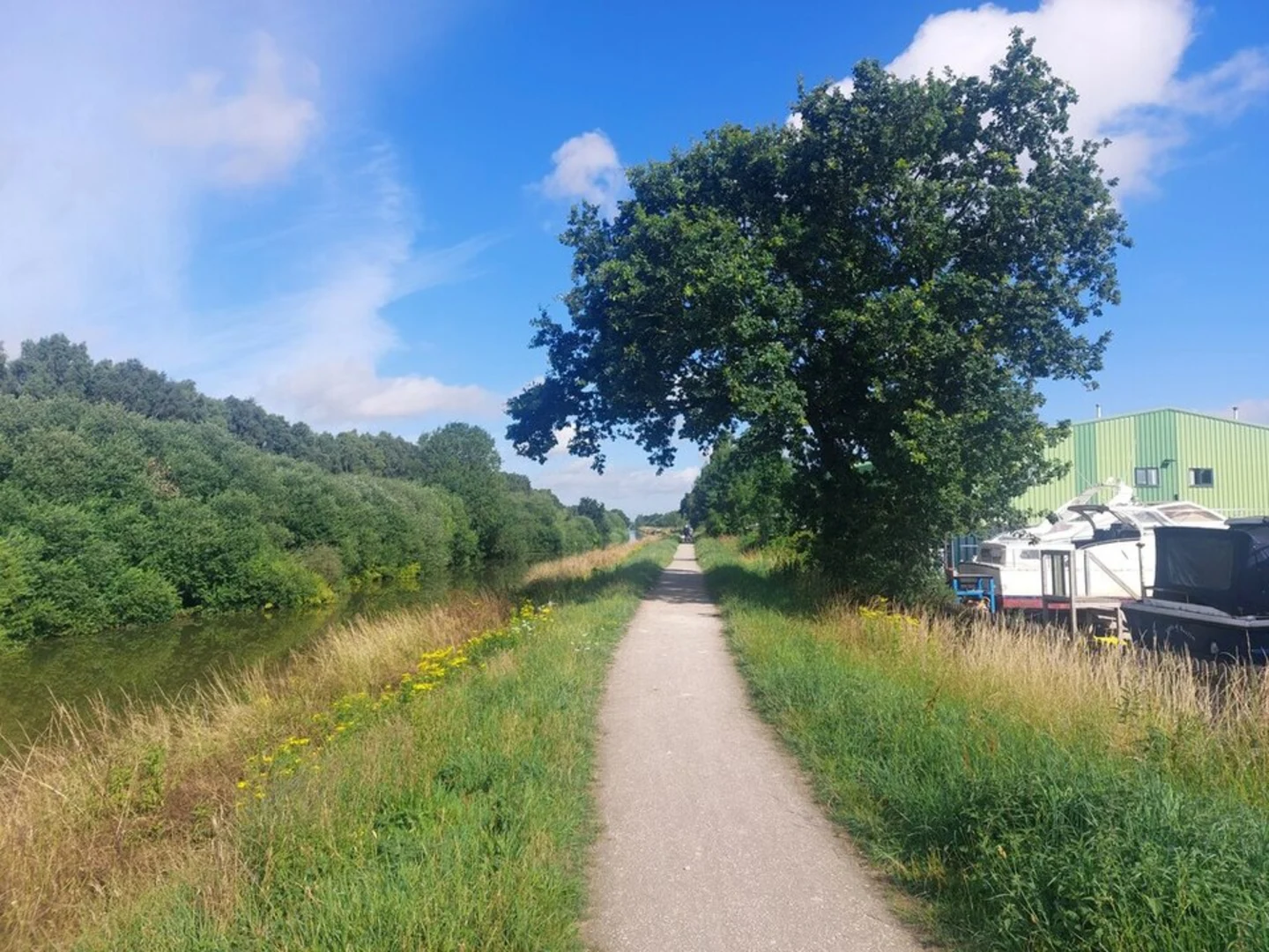 An image depicting the trail Fossdyke Canal and its surrounding area.