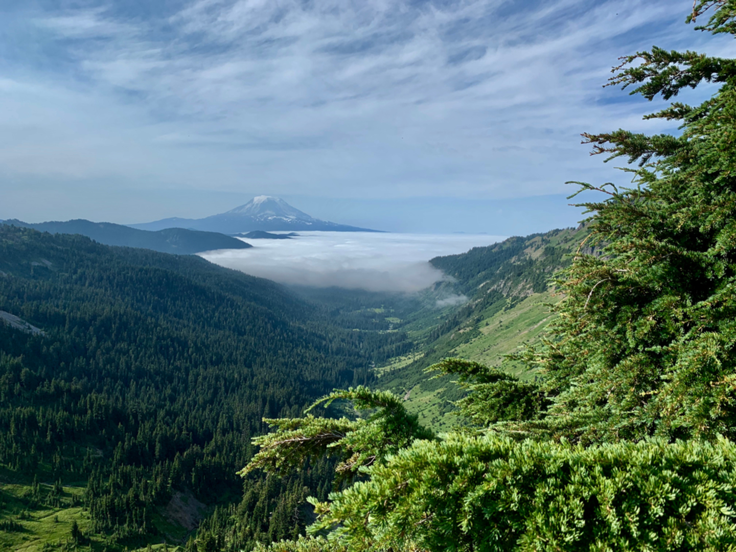An image depicting the trail Lilly Basin Trail and its surrounding area.