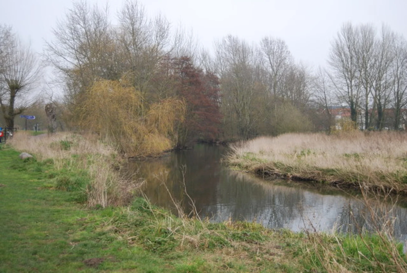 An image depicting the trail Great Stour to Bingley's Island and its surrounding area.