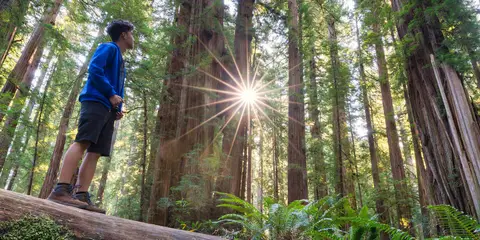An image depicting the trail Bigfoot Trail and its surrounding area.