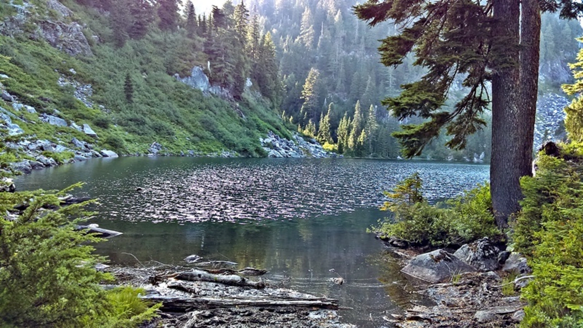 An image depicting the trail Pinnacle Lake Trail and its surrounding area.