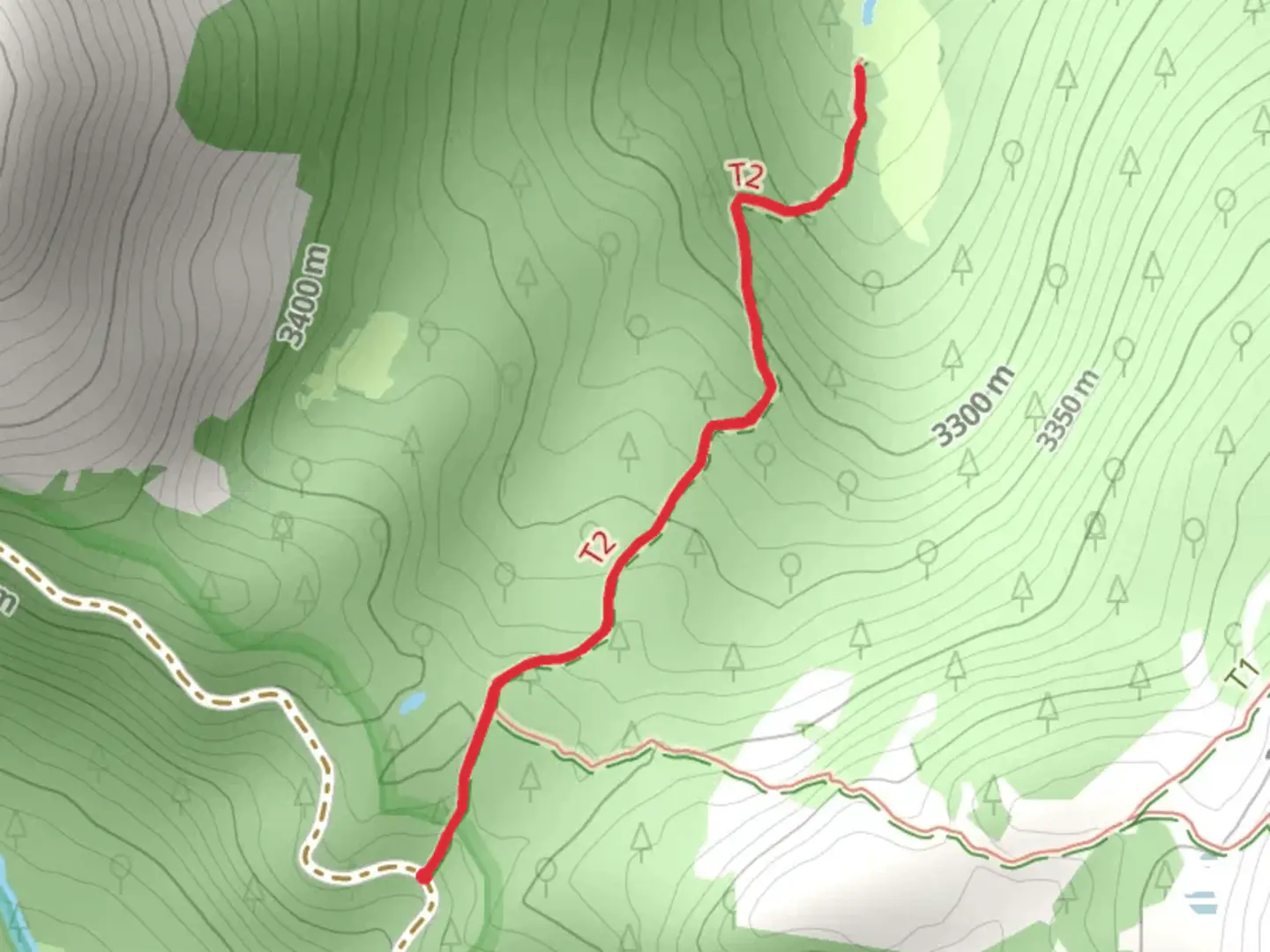 An image depicting the trail Chapin Creek Trail and its surrounding area.