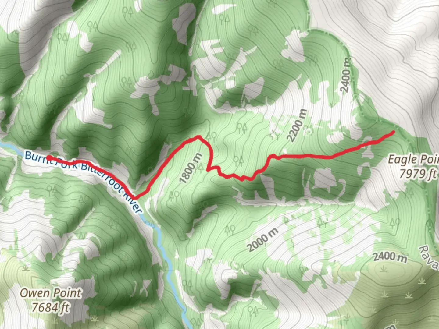 An image depicting the trail Bitterroot Big Springs Trail via Burnt Fork Trail and its surrounding area.