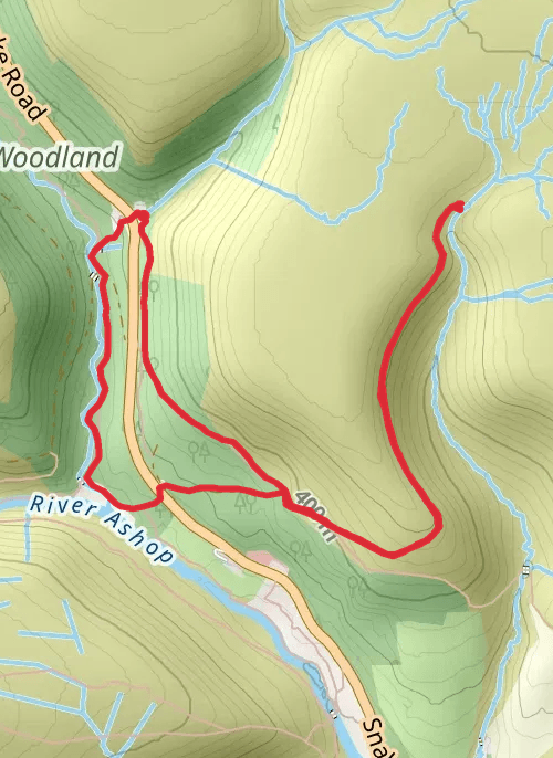 Oyster Cabin & Snake Woodland mobile static map