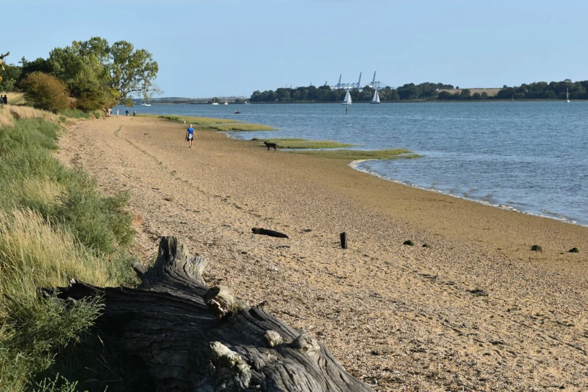 Levington and Nacton Shores