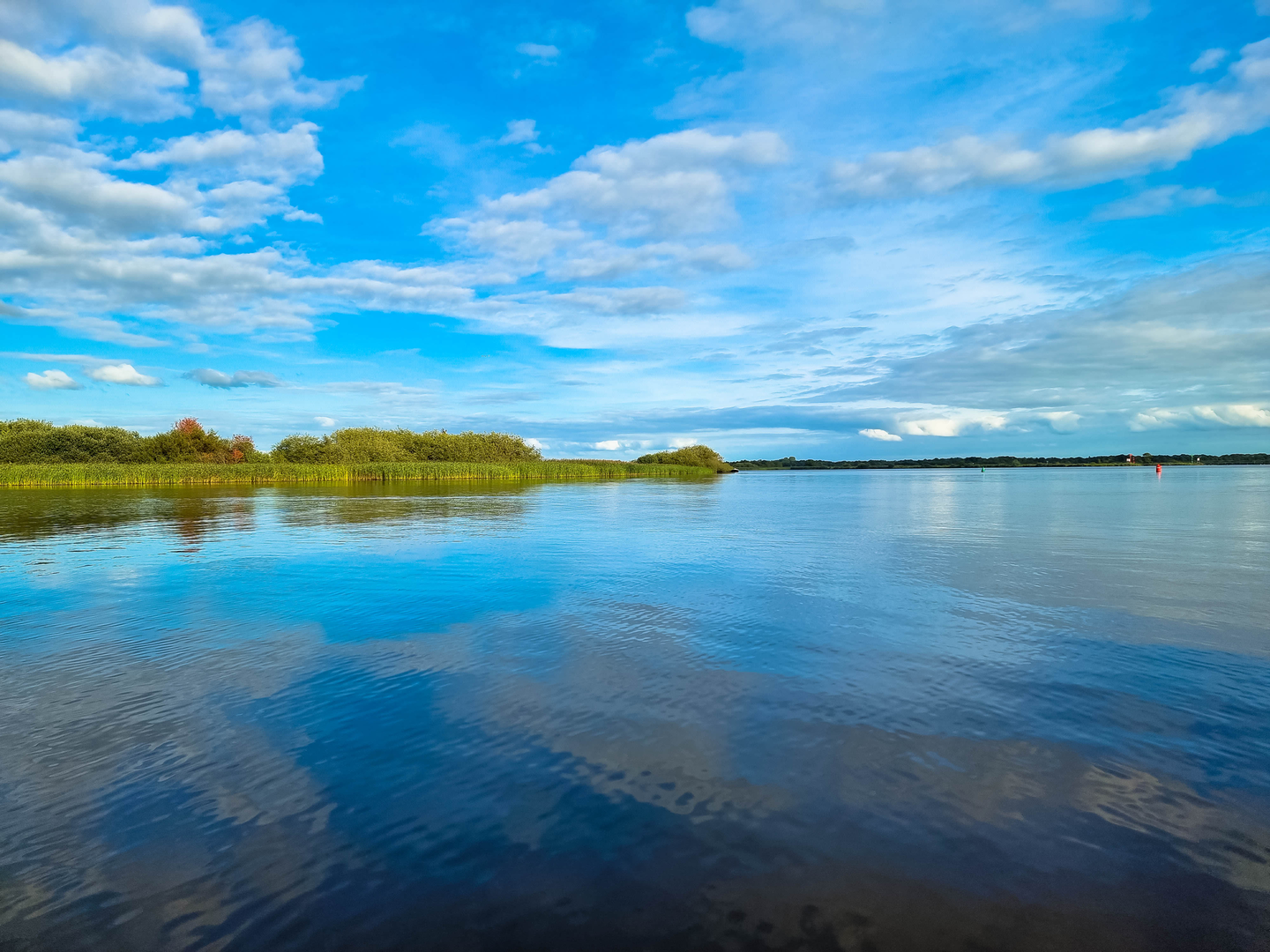 An image depicting the trail Toutenburgbos and Ritske Bosch Loop and its surrounding area.