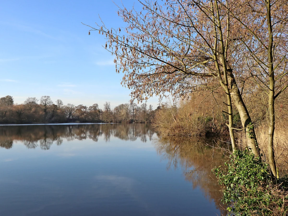 Patshull Park and The Great Pool Loop