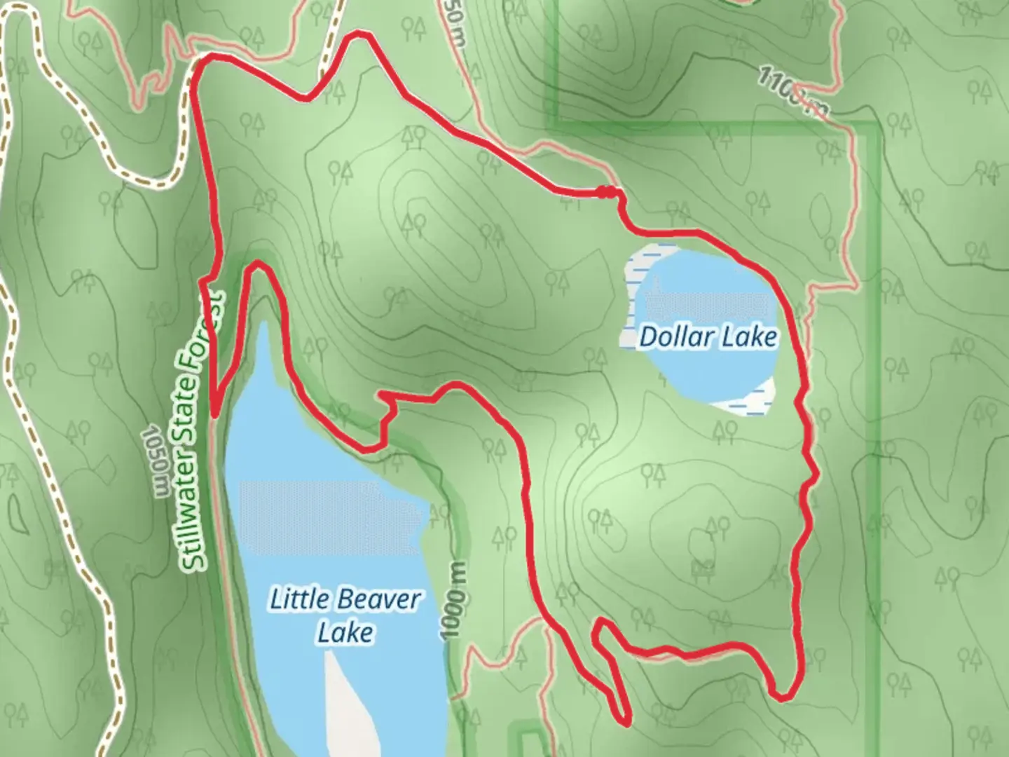 An image depicting the trail Dollar Lake and Little Beaver Lake Loop and its surrounding area.