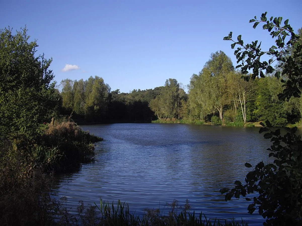 Colchester and Hythe Loop via High Woods Country Park